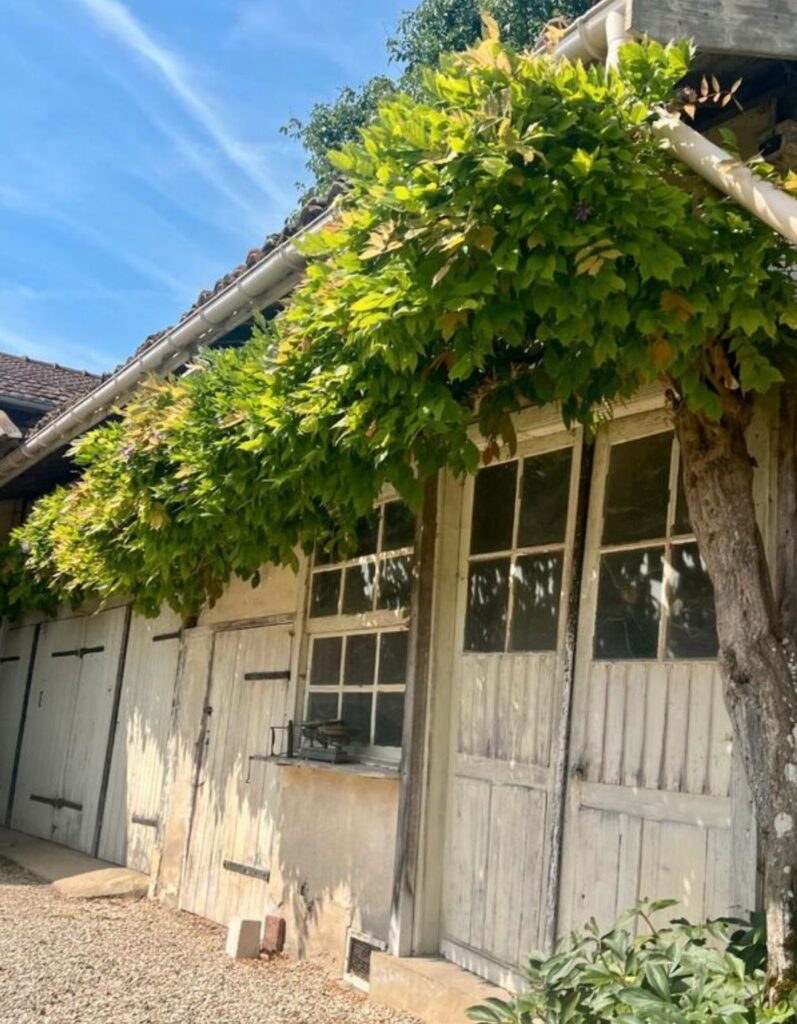 Photo d'une dépendance avec une glycine